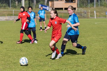 Bild 344 - wBJ TuS Rotenhof - Holstein Kiel : Ergebnis: 1:4
